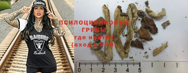 молекула духа Михайловка