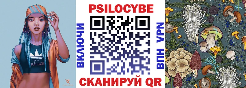 Псилоцибиновые грибы Psilocybe  Купить  Кольчугино 